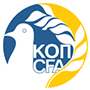小九直播官方网站图片